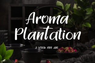 Aroma Plantation Duo: A Stylish Script for Branding