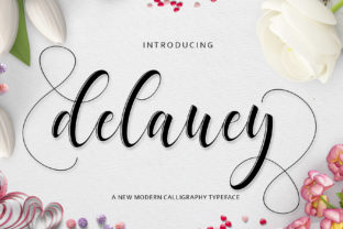 Delaney: A Modern Script Font