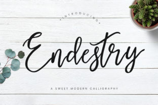 Endestry: A Modern Script Font