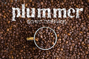 Plummer: A Retro Script Font for Web Design