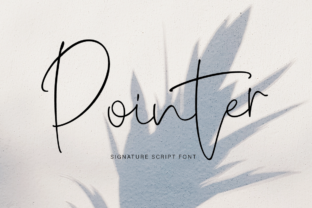 Pointer: A Modern Script Typeface