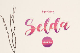 Selda Duo: A Cheerful Font for Digital Marketing